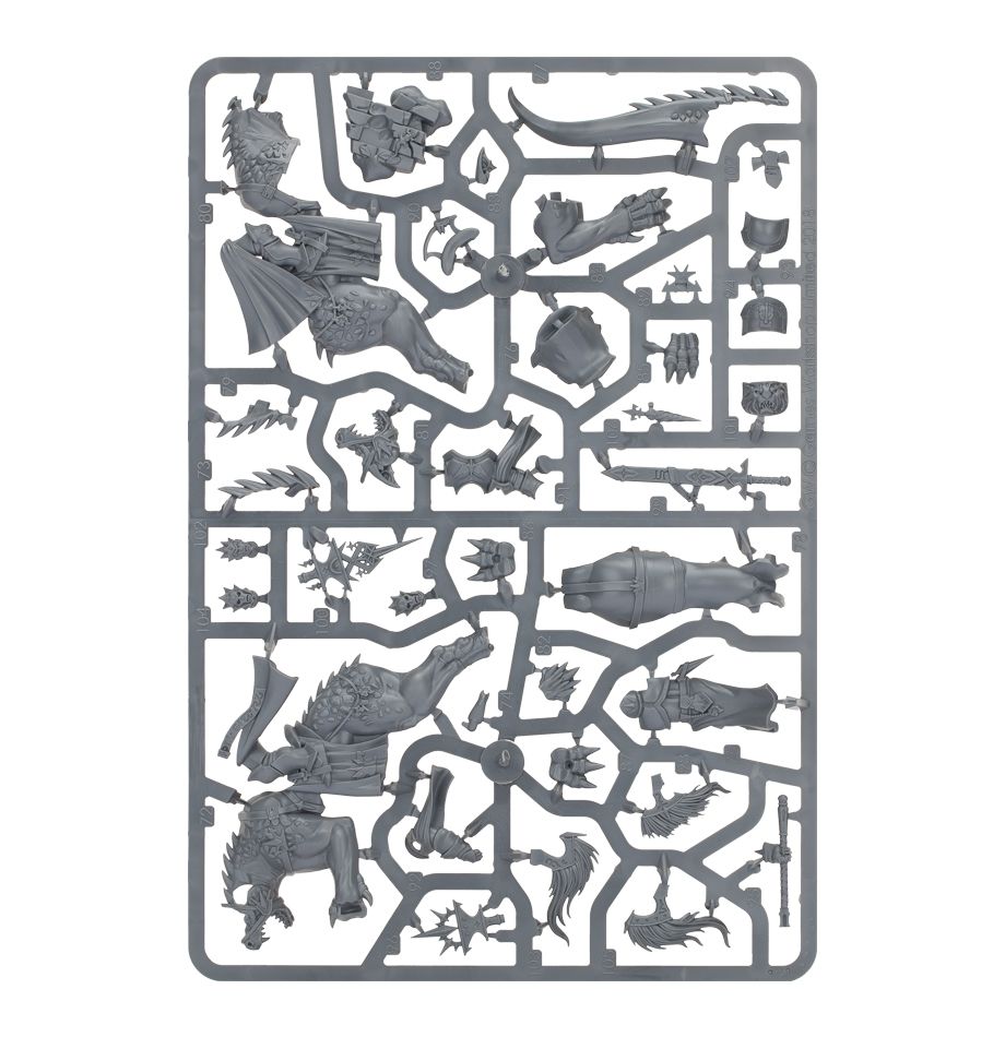 GW 1394 Stormcast Eternals Evocators Sur Dracolines Célestes