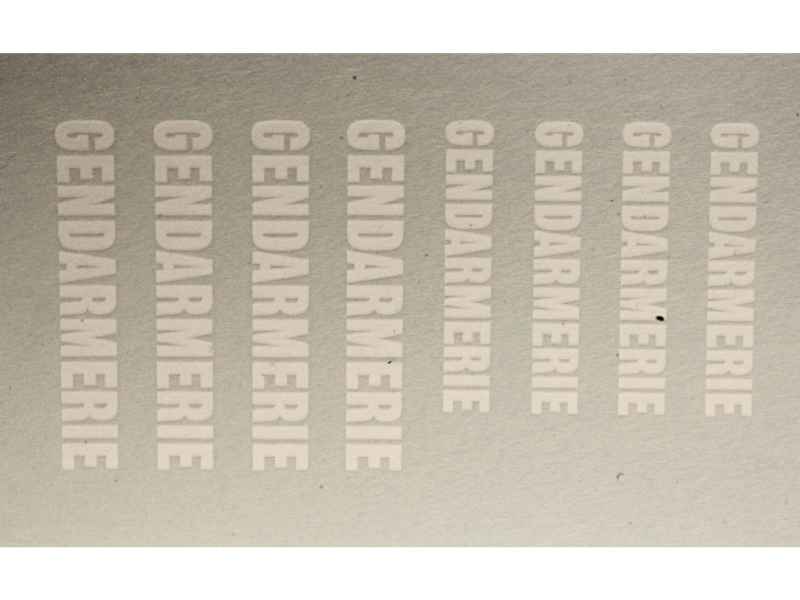49819 Divers Decals Gendarmerie