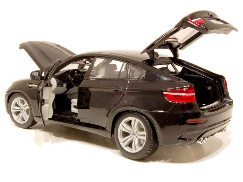 66837 BMW X6M/ E71M 2009