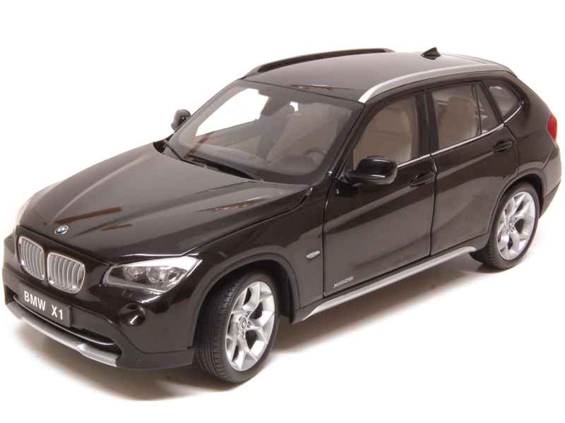 71118 BMW X1/ E84 2010