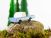 102769 Candylab Voiture en bois