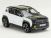 105633 Renault R4 e-tech 2025